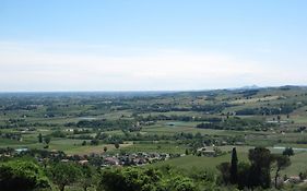 Tenuta Olmatello